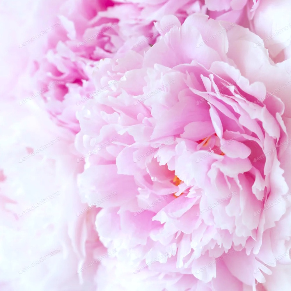 Meet your Posher, Maduyan